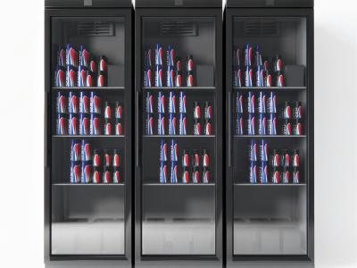 现代冰柜 饮料柜